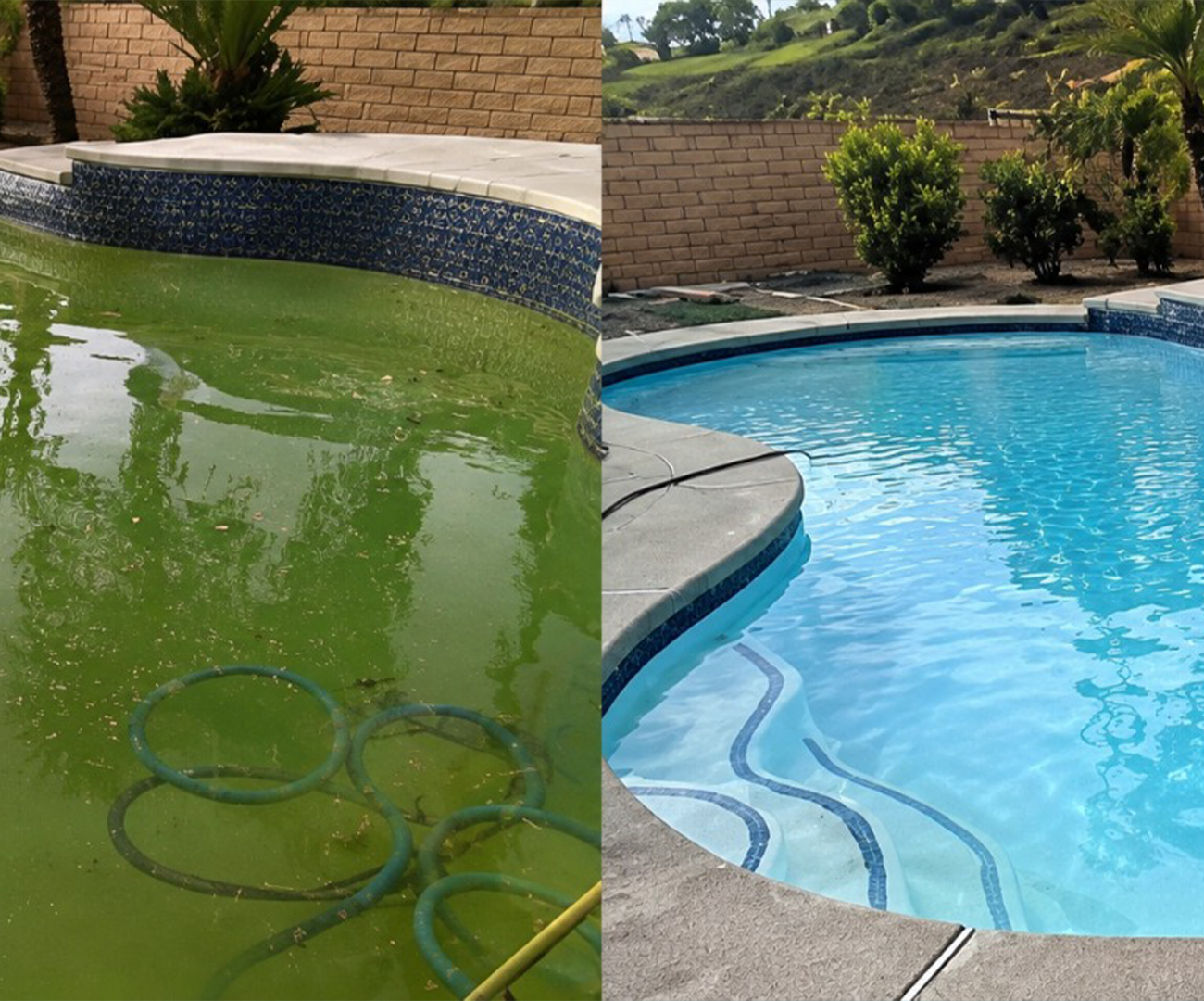 Pool Maintenance Services
